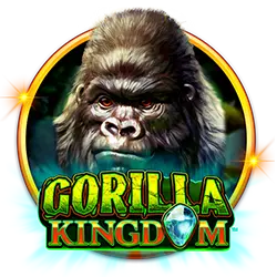 tracking casino how to place a bet in 1xbet